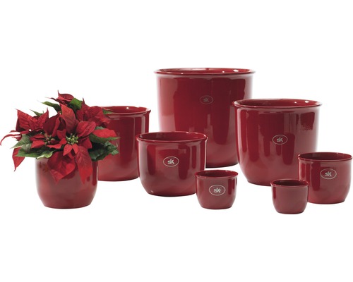 Groupe de pots de fleurs de différentes tailles