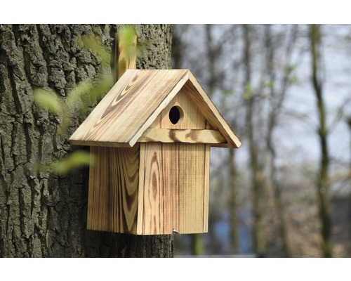 Nichoir en bois fixé à un arbre