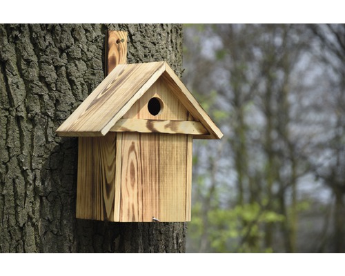 Nid d''oiseau en bois fixé sur un arbre