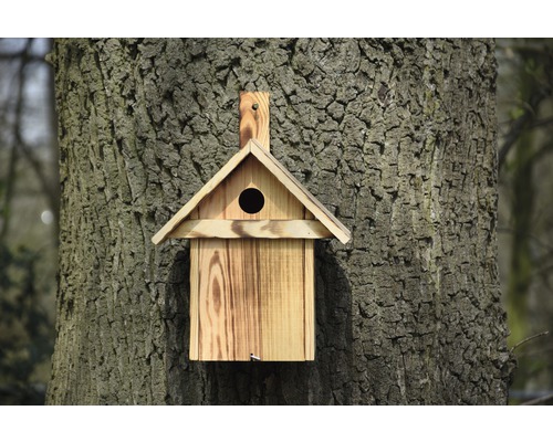 Nichoir en bois sur un tronc d''arbre