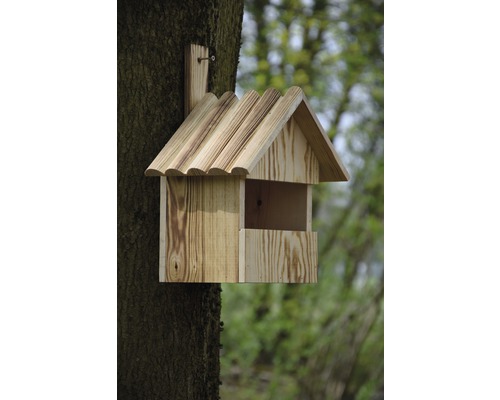 Nichoir en bois fixé à un tronc d''arbre