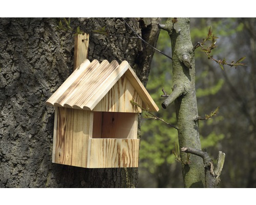 Nichoir en bois fixé à un tronc d''arbre