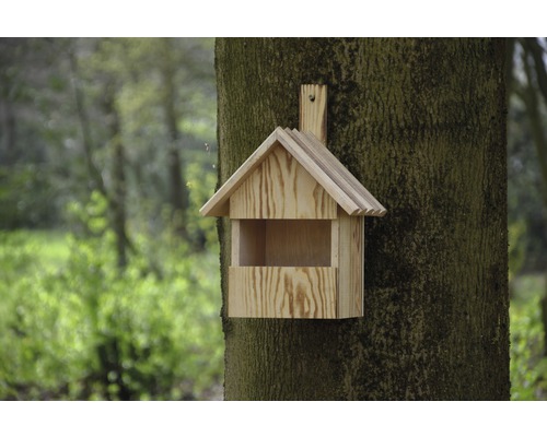 Nichoir en bois monté sur un tronc d''arbre