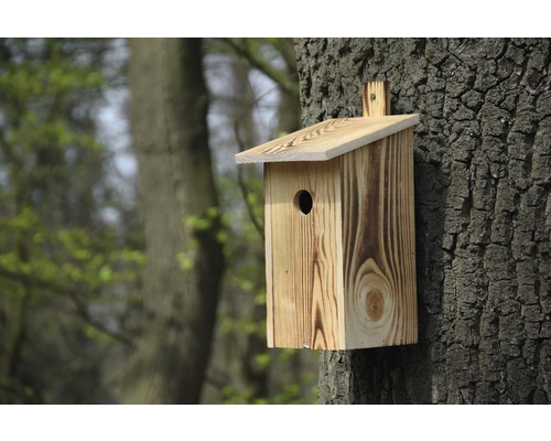 Nichoir en bois fixé sur un arbre