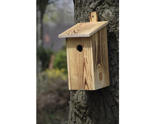 Nichoir en bois monté sur un arbre