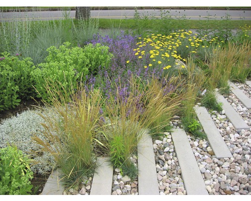 Parterre avec graminées ornementales, pierres et pas japonais