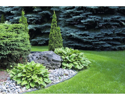 Gestalteter Gartenbereich mit Pflanzen, Steinen und Rasen