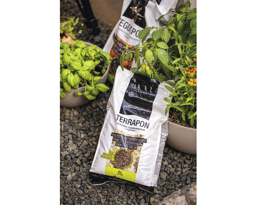 Un sac de terreau Terapon entre du basilic et d''autres plantes