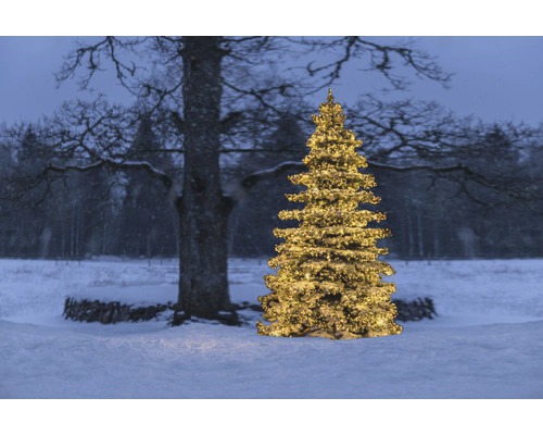 Arbre de Noël illuminé dans un champ enneigé