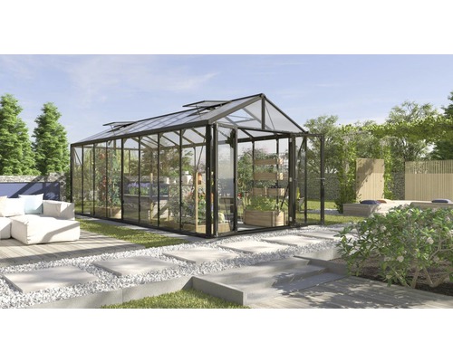 Serre avec des plantes dans le jardin