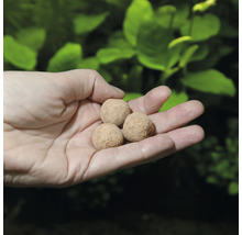 Trois boules d''engrais dans une main