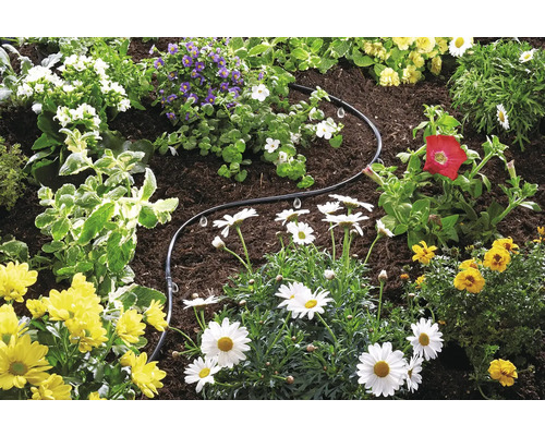 Jardin avec fleurs et tuyau d''irrigation