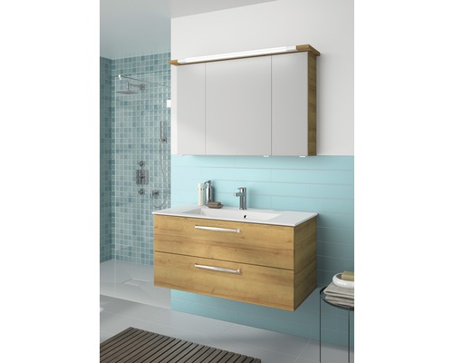 Badezimmer mit Waschbeckenunterschrank, Spiegelschrank und Dusche