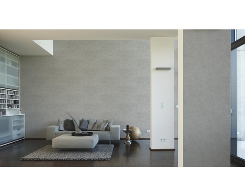 Salon avec canapé, tapis et étagères