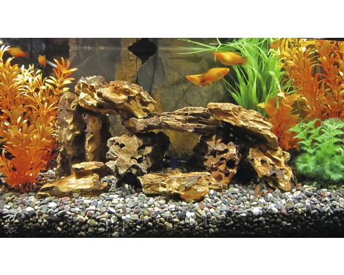 Aquarium décoré avec poissons, plantes et arche en pierre
