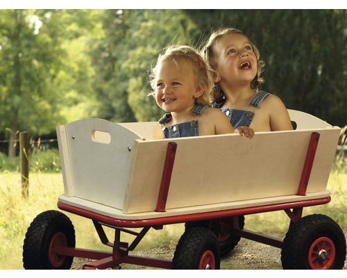 Zwei Kinder sitzen in einem Bollerwagen im Freien.