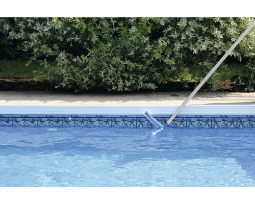 Piscine nettoyée avec une brosse de piscine