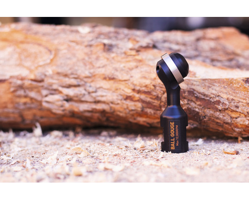 Kugelfräser für Holzarbeiten vor Holzstamm