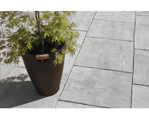 Szene mit grauen Steinplatten und Pflanze im Topf für den Gartenbereich.