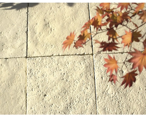 Gros plan de pavés en béton avec des feuilles d'automne