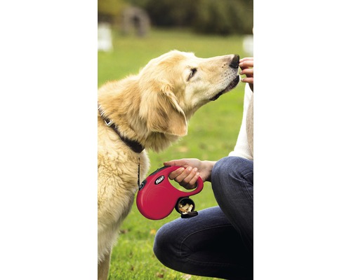 Hund an der Leine wird mit Futter belohnt