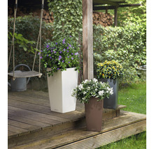 Trois grands pots de fleurs avec des fleurs colorées sur une terrasse en bois