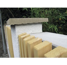 Mauerabdeckung Pultdach naturgrau 49 cm x 35 cm x 3,5-5 cm