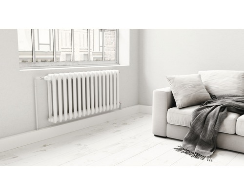 Pièce avec radiateur à éléments, fenêtre et canapé