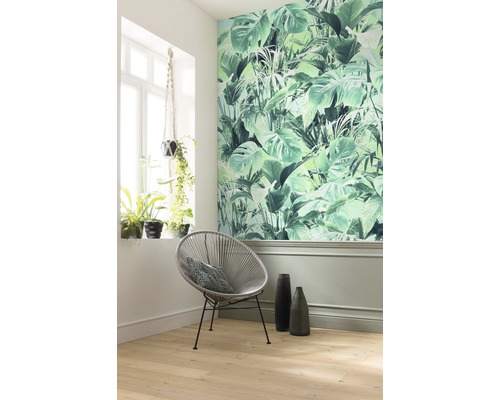 Pièce décorée avec papier peint jungle, chaise ronde et plantes d''intérieur
