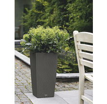Haut pot de fleurs rectangulaire dans le jardin avec des plantes