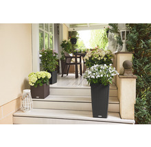 Terrasse avec plantes en pots et mobilier de jardin