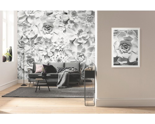 Wohnzimmer mit Fototapete mit Sukkulenten-Motiv und gerahmtem Bild