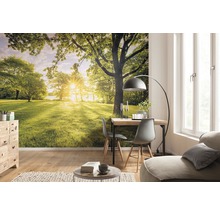 Espace de vie avec un papier peint photo représentant un paysage avec des arbres et la lumière du soleil, créant une atmosphère lumineuse et naturelle