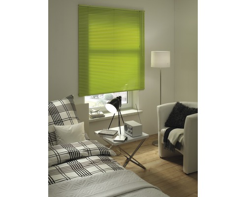 Pièce lumineuse avec store plissé vert à la fenêtre, lit et fauteuil