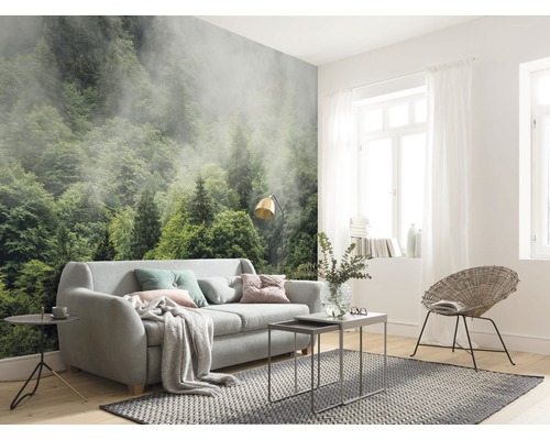 Salon avec papier peint photo représentant une forêt dans le brouillard
