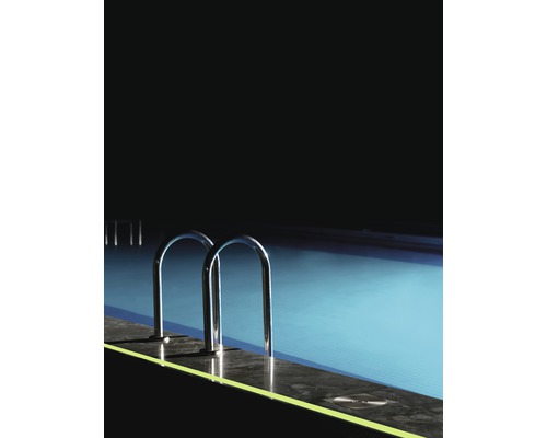 Piscine avec échelle en acier inoxydable