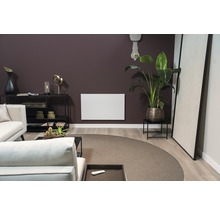 Salon avec canapé, table, plante d''intérieur et radiateur