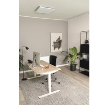 Modernes Büro mit höhenverstellbarem Schreibtisch, Deckenheizung und Zimmerpflanze