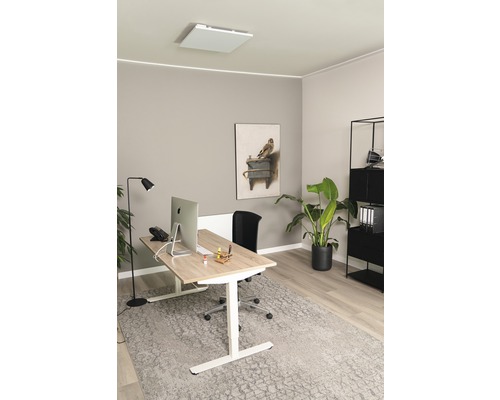 Bureau moderne avec bureau réglable en hauteur, chauffage de plafond et plante d''intérieur