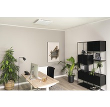 Modernes Büro mit Schreibtisch, Regal und Zimmerpflanzen für eine angenehme Arbeitsatmosphäre