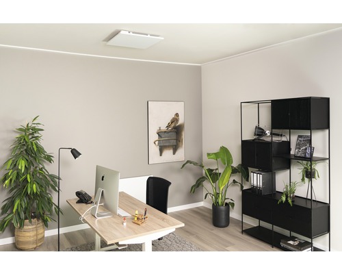 Bureau moderne avec bureau, étagère et plantes d''intérieur pour une atmosphère de travail agréable