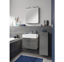 Spiegelschrank FACKELMANN Lima Steinesche Basaltgrau 60 x 15,5 x 73 cm grau 1-türig LED IP 20
