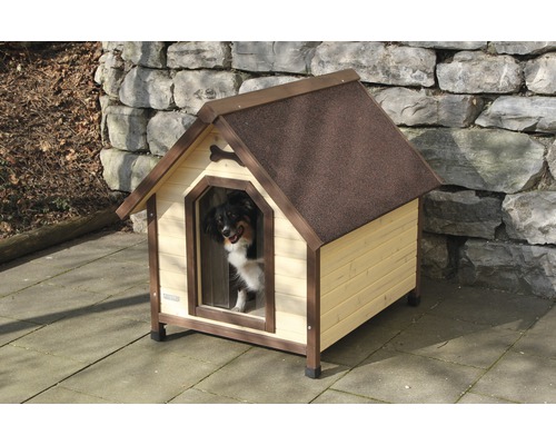 Niche pour chien en bois avec chien