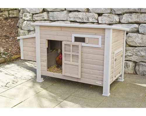 Poulailler en bois avec poulet dans le jardin