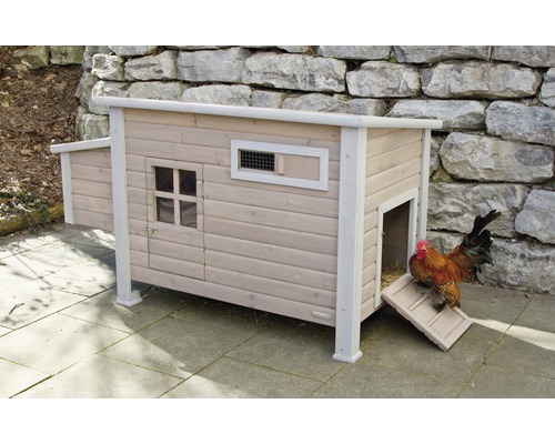 Poulailler en bois avec échelle à poules et coq