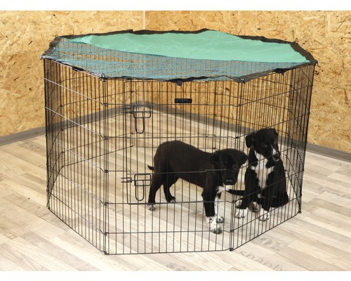 Parc à chiots en fil métallique avec filet supérieur et deux chiots à l''intérieur.