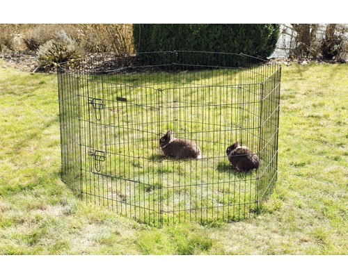 Enclos extérieur en métal avec deux lapins dans le jardin.