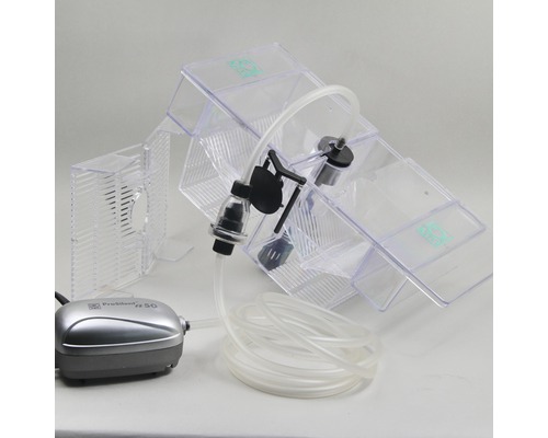 Aquarium Laichkasten mit Luftpumpe und Zubehör