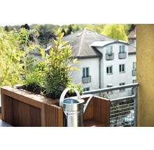 Planche pour terrasses Bangkirai 2400x145x25 mm pose infinie