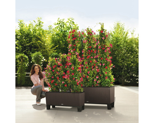 Deux bacs à fleurs en plastique avec des plantes grimpantes et une femme dans le jardin.